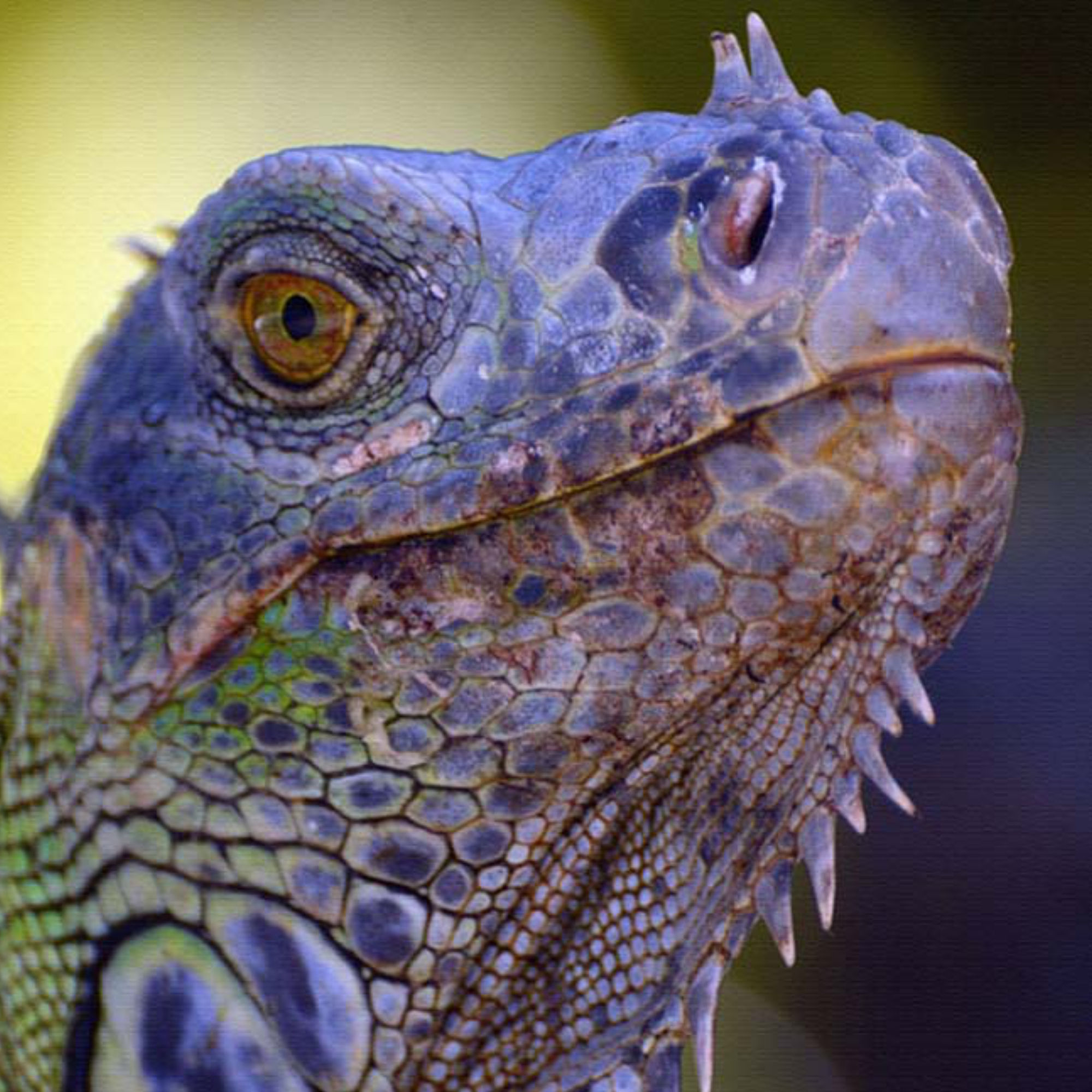 Photography by Sandi