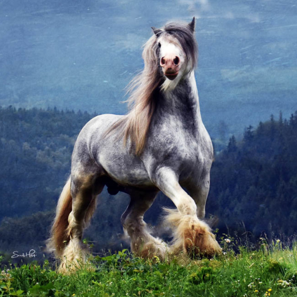 Photography by Sandi